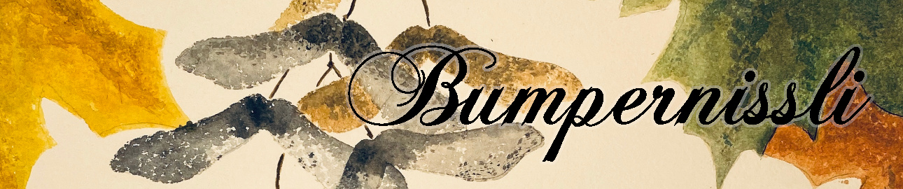 Bumpernissli